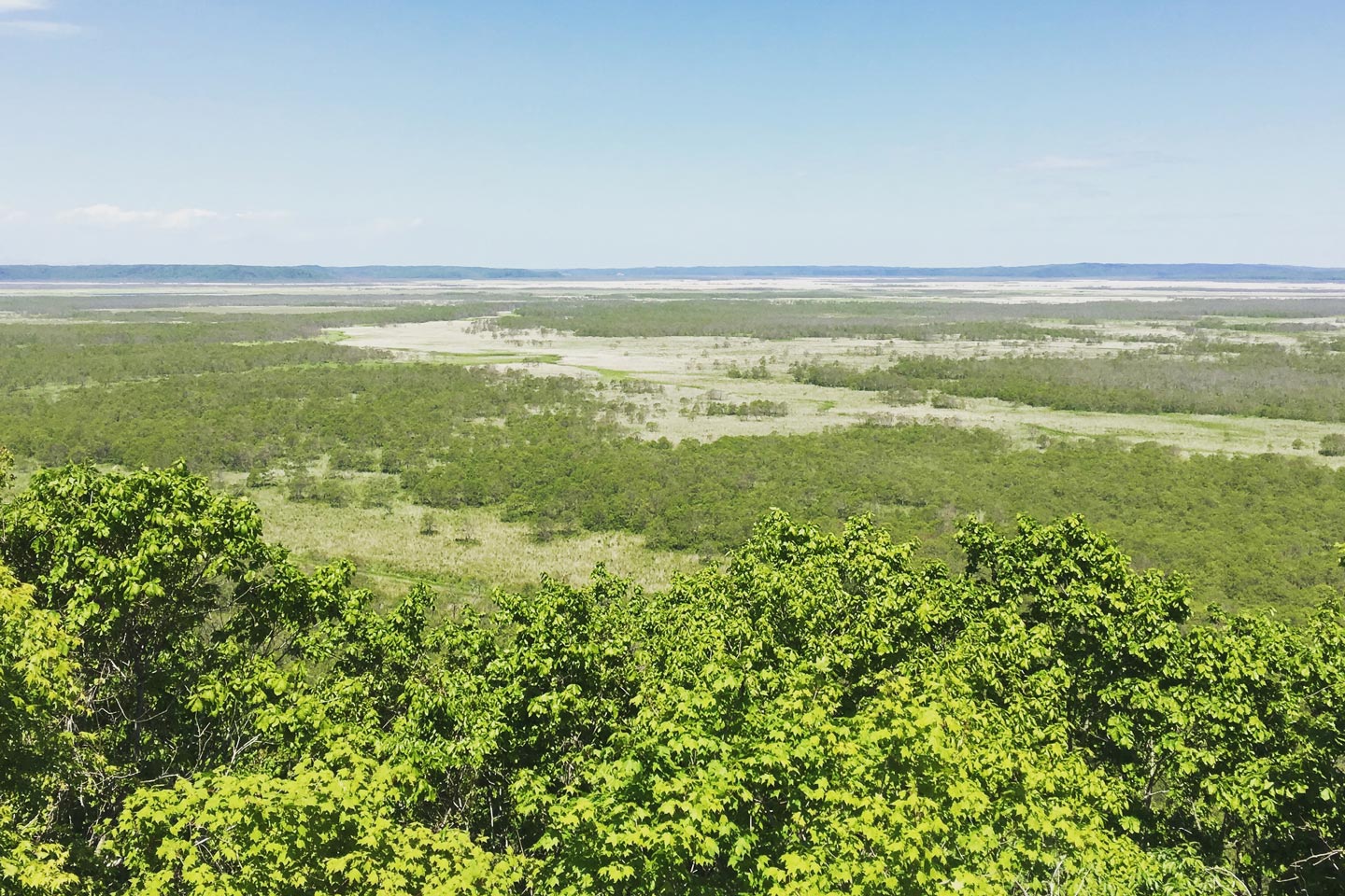 2. Kushiro Wetlands Full experience program
