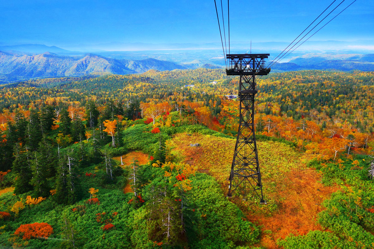 Mùa thu Hokkaido tuyệt đẹp