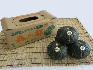 Miyako Kabocha (Japanese pumpkin)