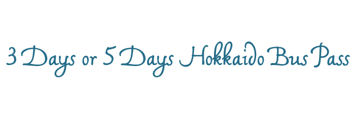 3 days or 5 days Hokkaido Bus Pass