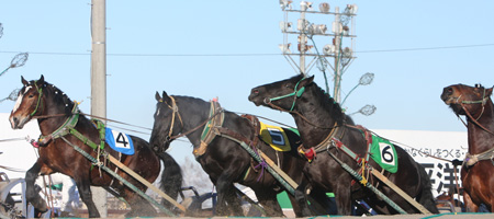 Banei Horse Race Track