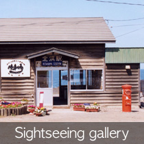 Sightseeing Gallery