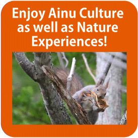 Enjoy Ainu Culture as well as Nature Experiences!